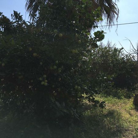 Villa Amore Città di Lipari Esterno foto